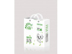 Paper Bag Making Machine